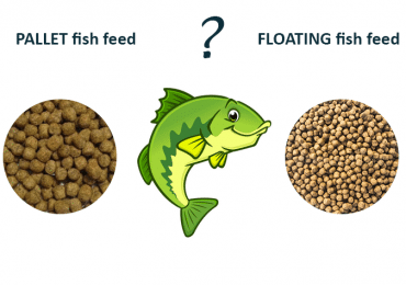 pallet-vs-floating-fish-feed